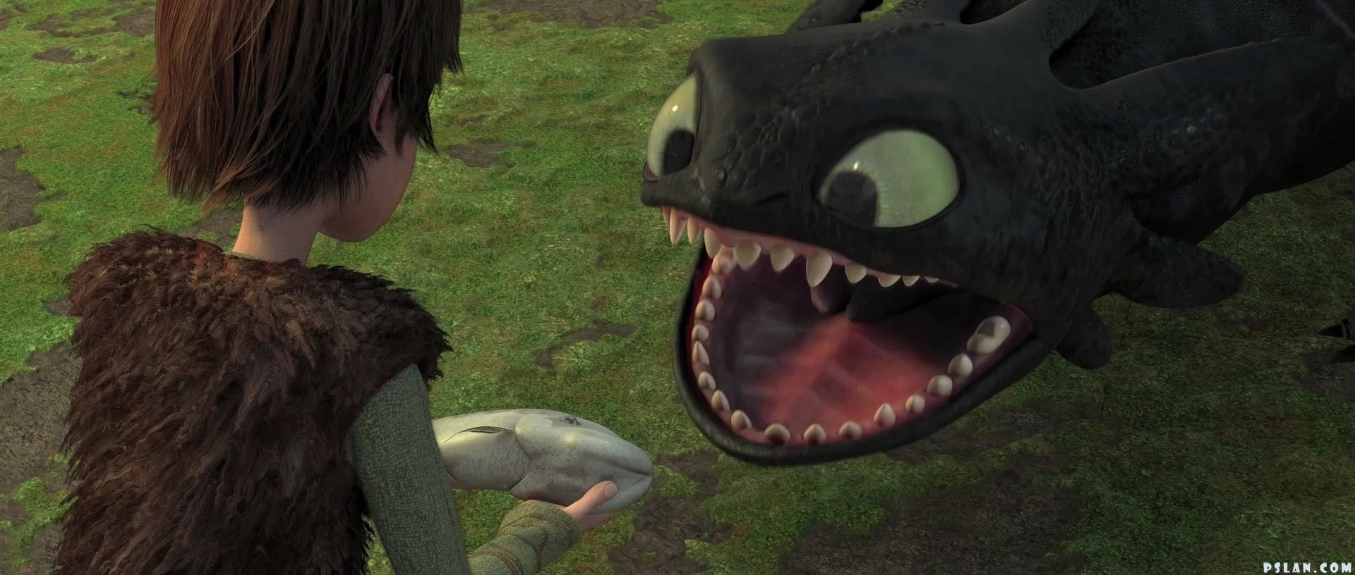 How to Train Your Dragon Toothless Wallpaper